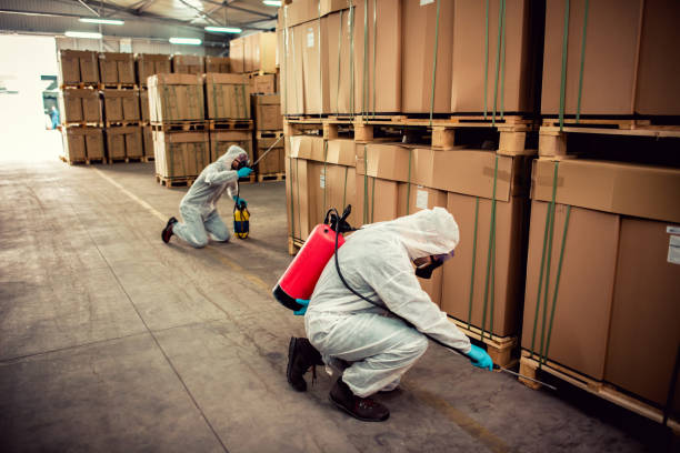 Best Best Pest Control Companies  in Brush, CO
