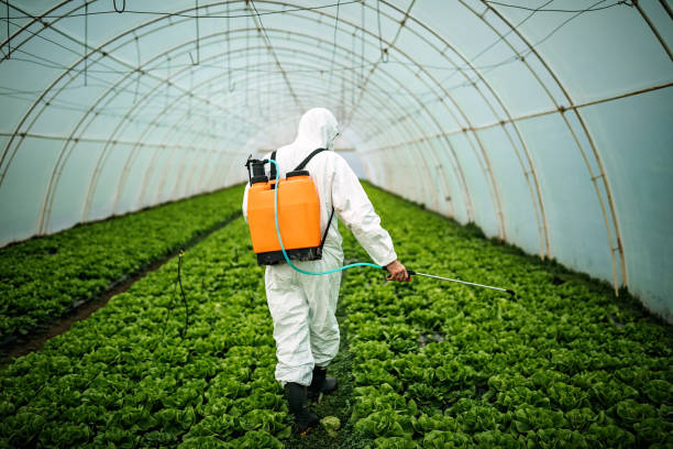 Best Pest Inspection Near Me  in Brush, CO