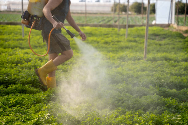 Reliable Brush, CO Pest Control Solutions