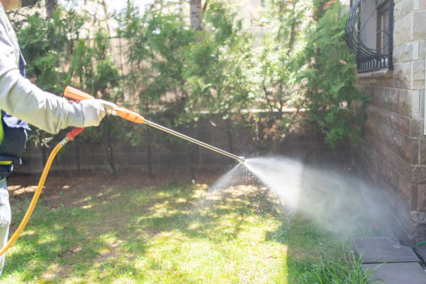 Best Residential Pest Control  in Brush, CO