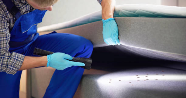Best Termite Control Services  in Brush, CO