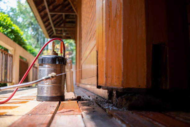 Best Mosquito Control Services  in Brush, CO
