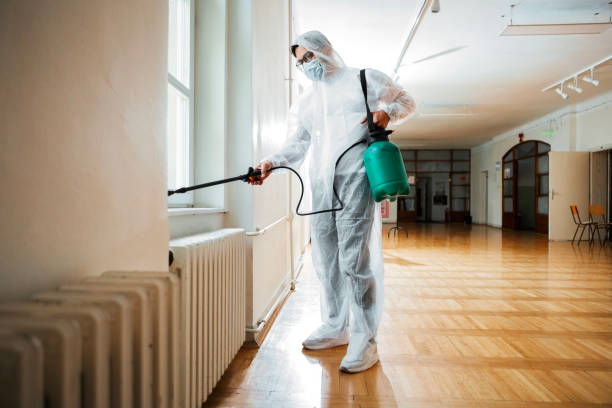 Wasp Removal Services in Brush, CO
