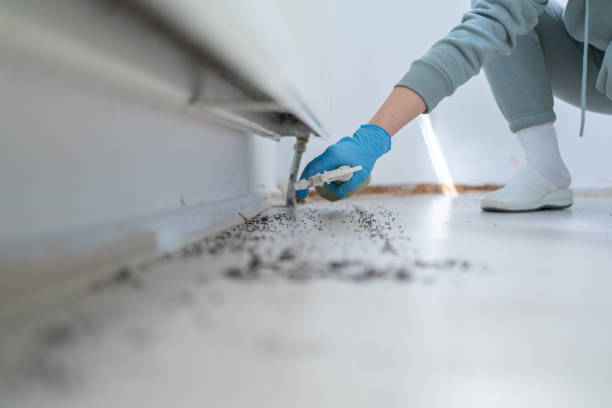 Best Commercial Pest Control Services  in Brush, CO